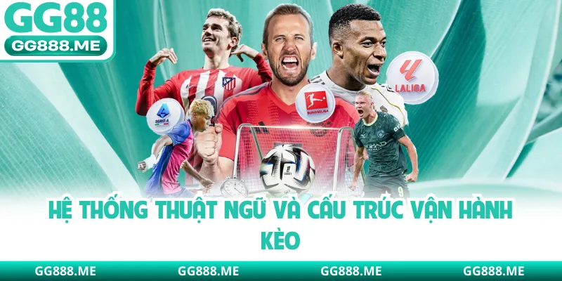 Hệ thống thuật ngữ và cấu trúc vận hành kèo